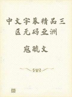 中文字幕精品三区无码亚洲