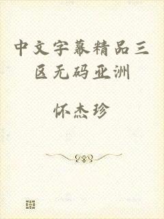 中文字幕精品三区无码亚洲