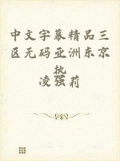 中文字幕精品三区无码亚洲东京热
