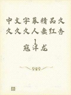 中文字幕精品久久久久人妻红杏1