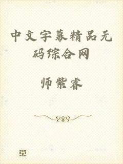 中文字幕精品无码综合网