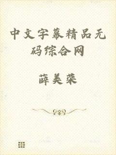 中文字幕精品无码综合网
