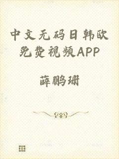 中文无码日韩欧免费视频APP