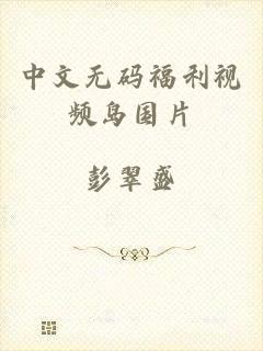 中文无码福利视频岛国片