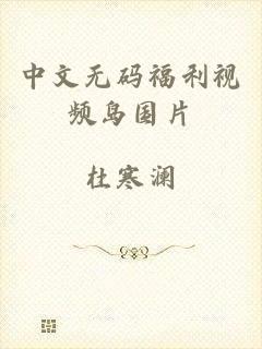 中文无码福利视频岛国片