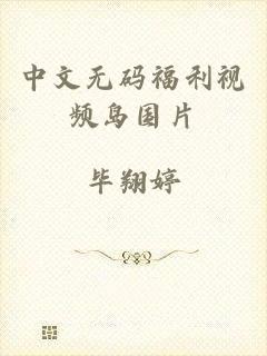 中文无码福利视频岛国片