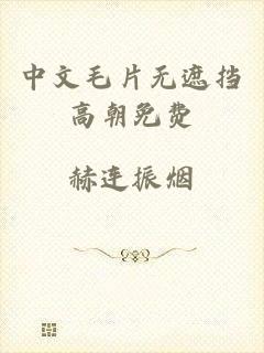 中文毛片无遮挡高朝免费