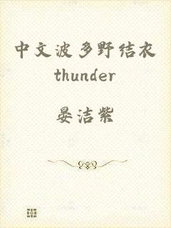 中文波多野结衣thunder