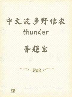 中文波多野结衣thunder