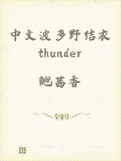 中文波多野结衣thunder