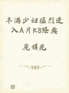 丰满少妇猛烈进入A片K8经典