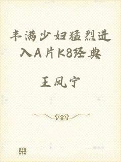 丰满少妇猛烈进入A片K8经典