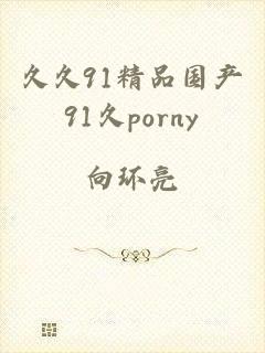 久久91精品国产91久porny