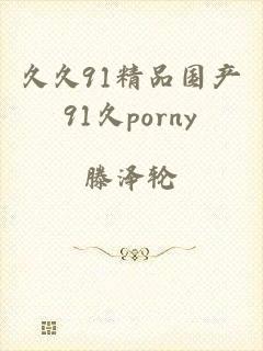 久久91精品国产91久porny