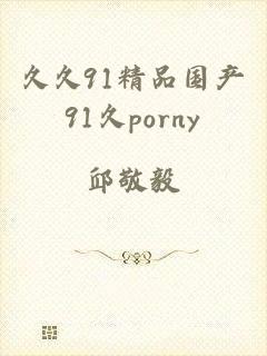 久久91精品国产91久porny