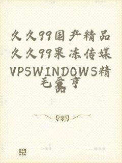 久久99国产精品久久99果冻传媒VPSWINDOWS精品