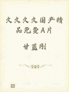 久久久久国产精品免费A片