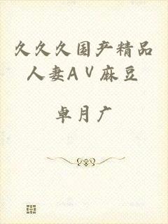 久久久国产精品人妻AⅤ麻豆