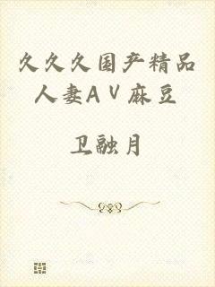 久久久国产精品人妻AⅤ麻豆