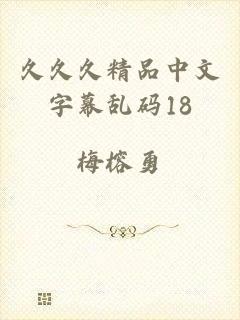 久久久精品中文字幕乱码18