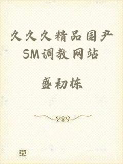 久久久精品国产SM调教网站