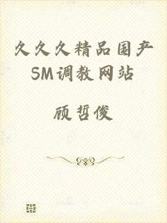 久久久精品国产SM调教网站