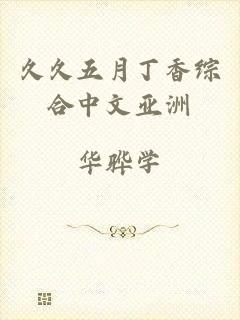 久久五月丁香综合中文亚洲