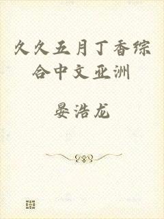 久久五月丁香综合中文亚洲