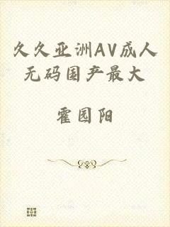 久久亚洲AV成人无码国产最大