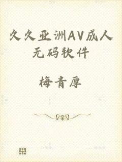 久久亚洲AV成人无码软件