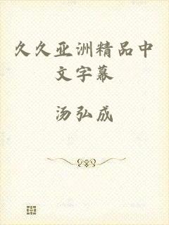 久久亚洲精品中文字幕