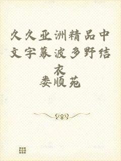 久久亚洲精品中文字幕波多野结衣