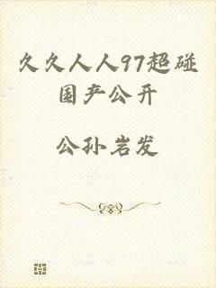 久久人人97超碰国产公开