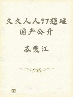 久久人人97超碰国产公开