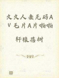 久久人妻无码AⅤ毛片A片啪啪