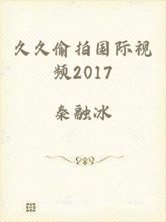 久久偷拍国际视频2017