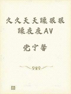 久久天天躁狠狠躁夜夜AV