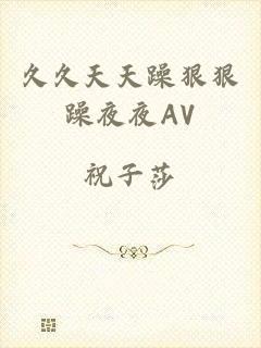 久久天天躁狠狠躁夜夜AV