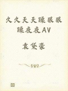 久久天天躁狠狠躁夜夜AV