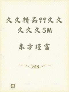 久久精品99久久久久久SM