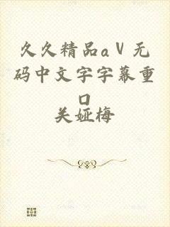 久久精品aⅴ无码中文字字幕重口