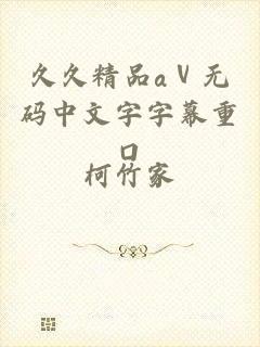 久久精品aⅴ无码中文字字幕重口