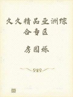 久久精品亚洲综合专区