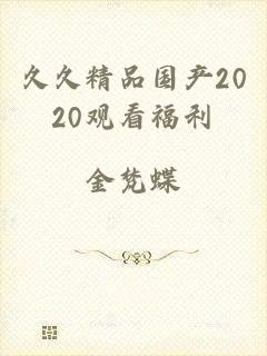 久久精品国产2020观看福利