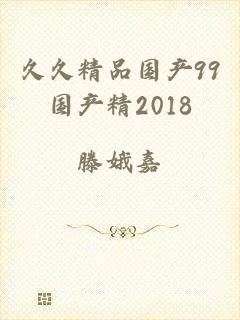 久久精品国产99国产精2018