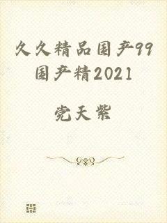 久久精品国产99国产精2021