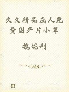 久久精品成人免费国产片小草