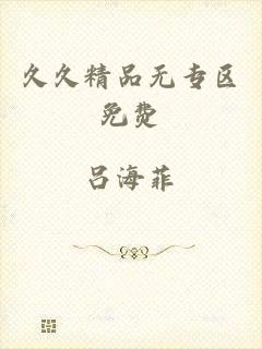 久久精品无专区免费