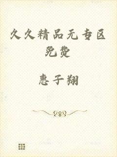 久久精品无专区免费