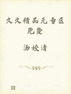 久久精品无专区免费